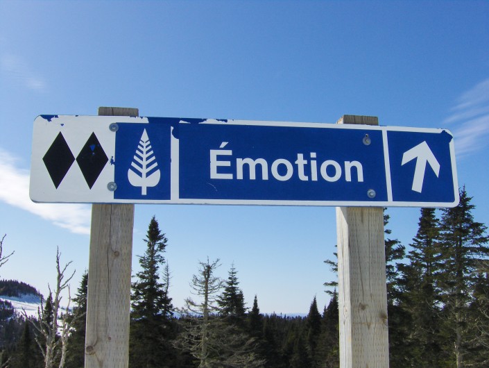 Emotion