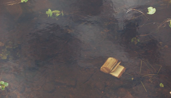 Book under Water